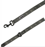 LOCAL BOY DOG LEASH
