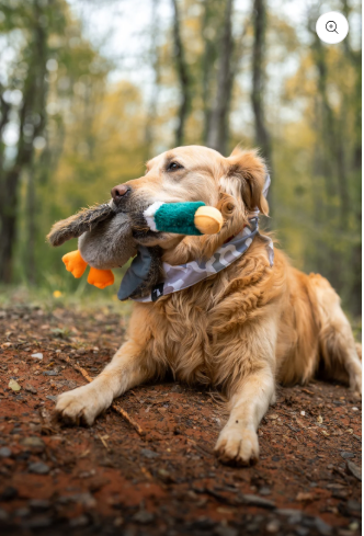 LOCAL BOY DUCK DOG TOY