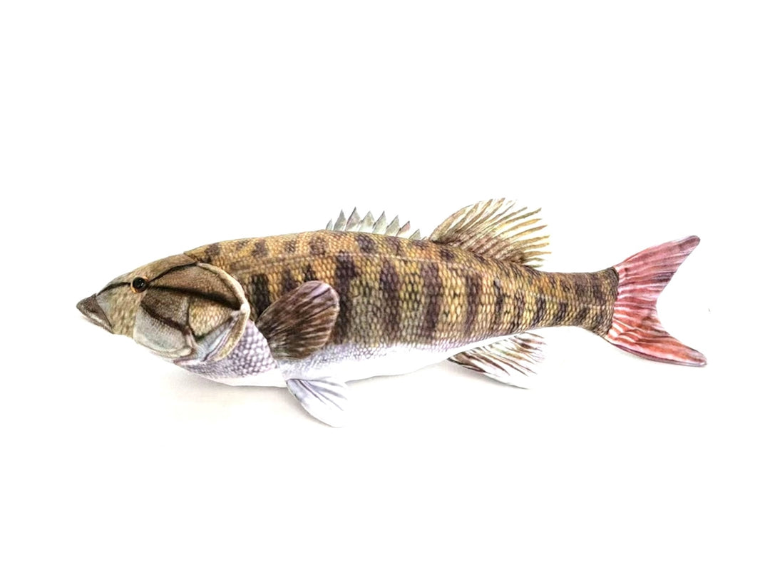 SMALL MOUTH BASS 10"