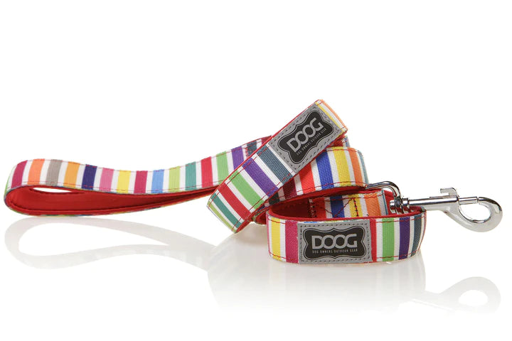 Neoprene Dog Leash