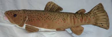 Brown Trout. 10"