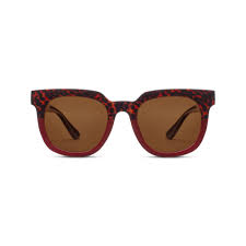 CARPE DIEM READING SUN GLASSES