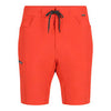 MEN'S SEAMOUNT BOARD SHORTS