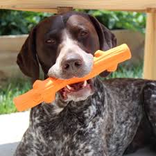 TALL TAILS GOAT FETCH STICK FOR DOGS