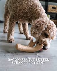 Tall Tails Peanut Butter Scented Antler Chew Toy