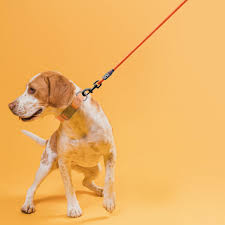 Nylon Round Lead