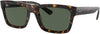 Warren Sunglasses