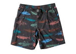 Men's Chilli H2O Shorts