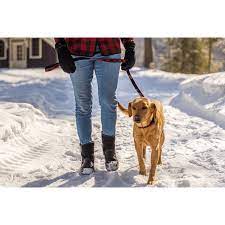 Plaid Nylon Leash 6 Foot