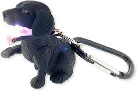 Wildlight Dog