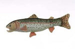 Rainbow Trout