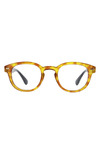 Vineyard Eyeglasses