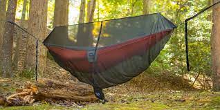 Guardian Bug Net