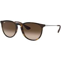 RAY BAN ERIKA SUNGLASSES